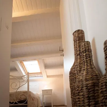 In - Istrien 11735 רוביני